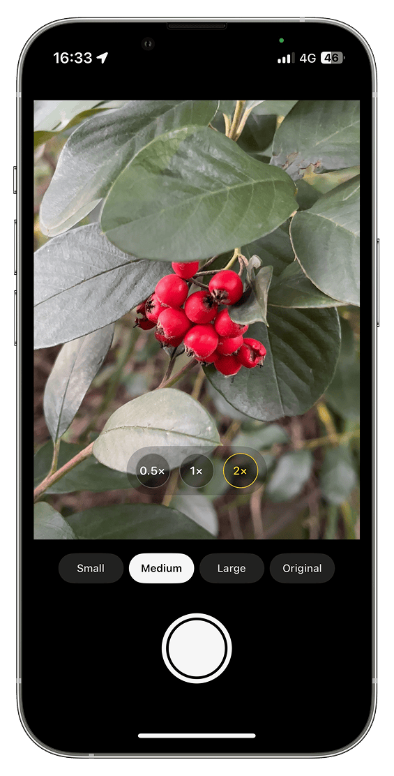 ShrinkShot Cam on iPhone showing the camera viewfinder with Small, Medium, Large, and Original resolution options